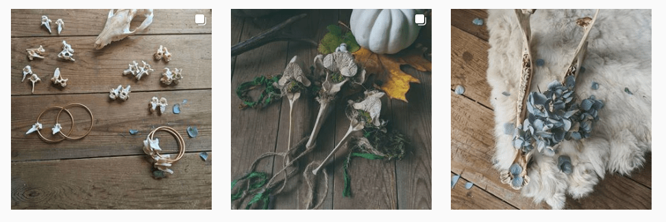 taxidermy teeth and bones